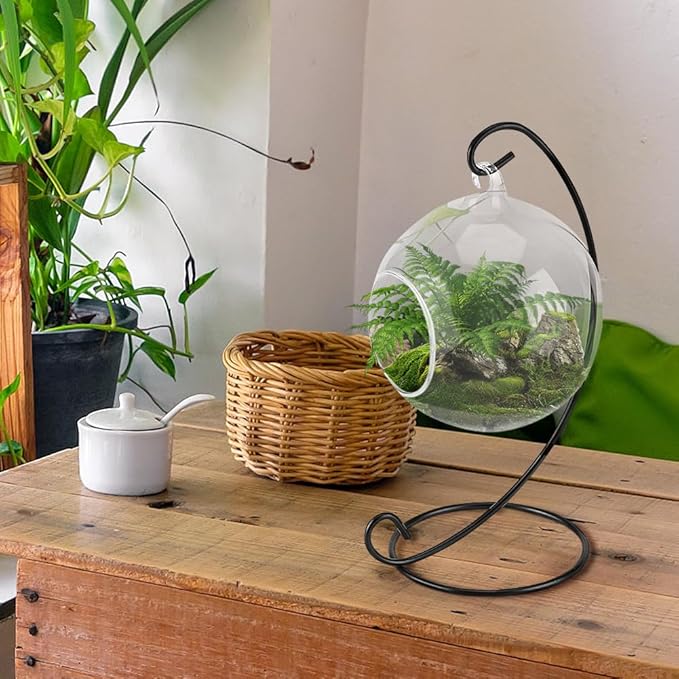 Air Plant Glass Container Set – Hanging Glass Vase | Black Metal Stand, Minimalist & Elegant, Ideal for Air Plants and Succulents