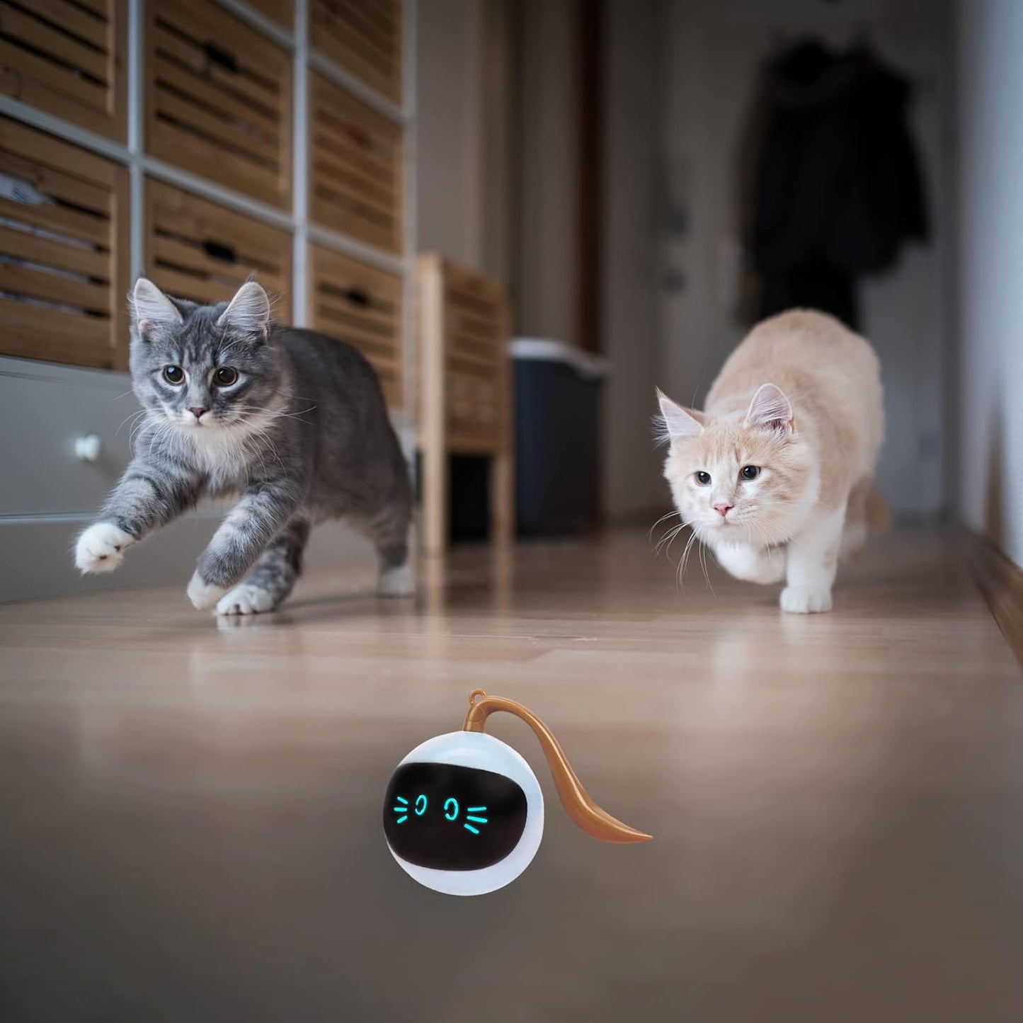 Automatic Cat Toy Ball with Play Mat – Interactive Fun for Cats