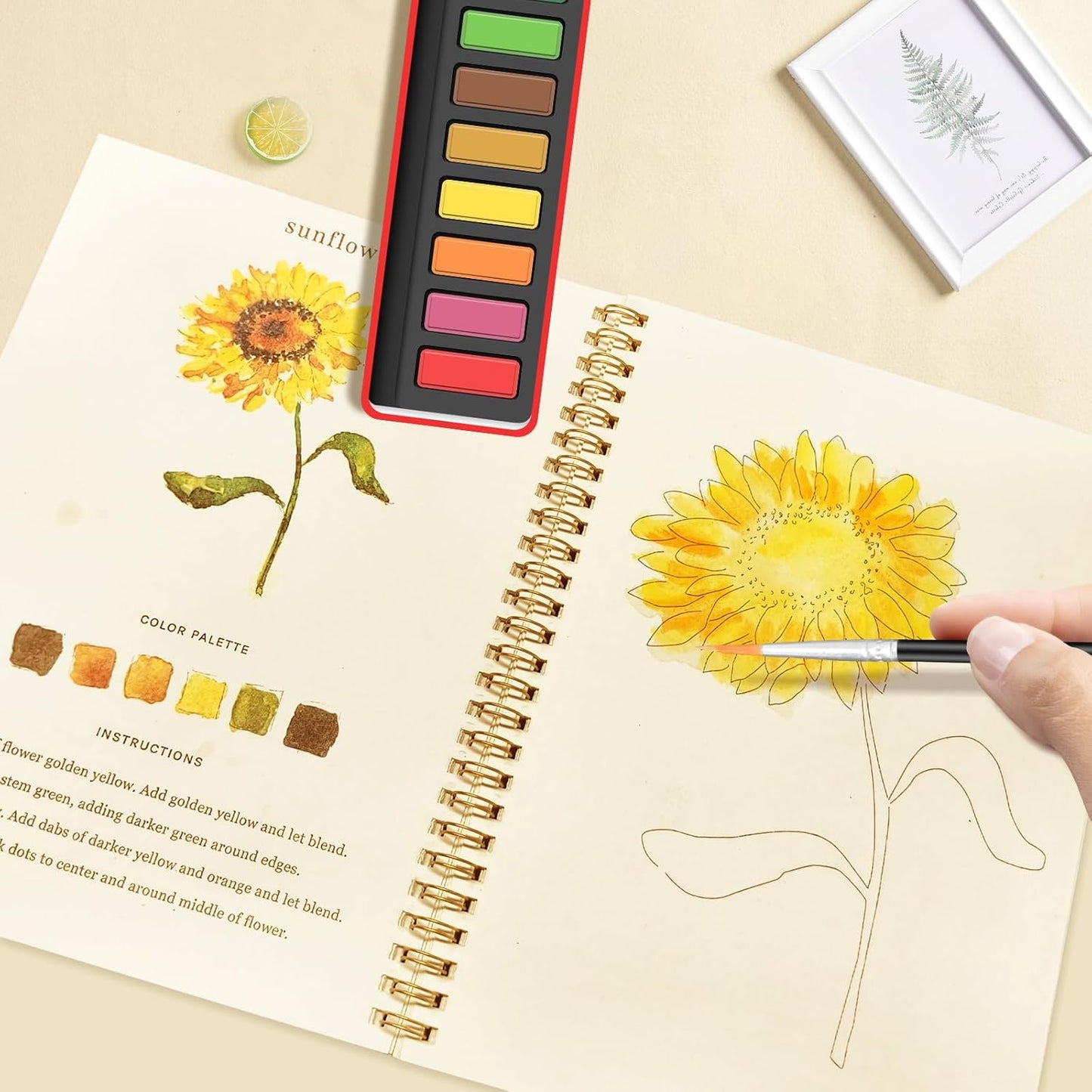 Watercolor Workbook with Paint Set – Beginner Watercolor Practice Book with 12 Colors & Brush