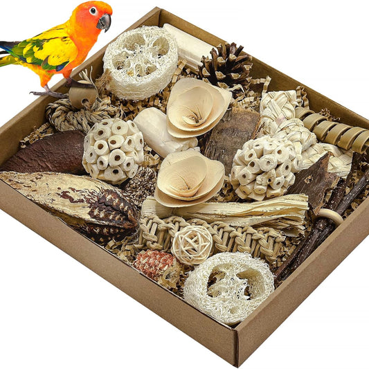 Natural Bird Toy Foraging Parrot Shredding Toys Box – Safe, Fun, and Engaging for Small-Medium Birds