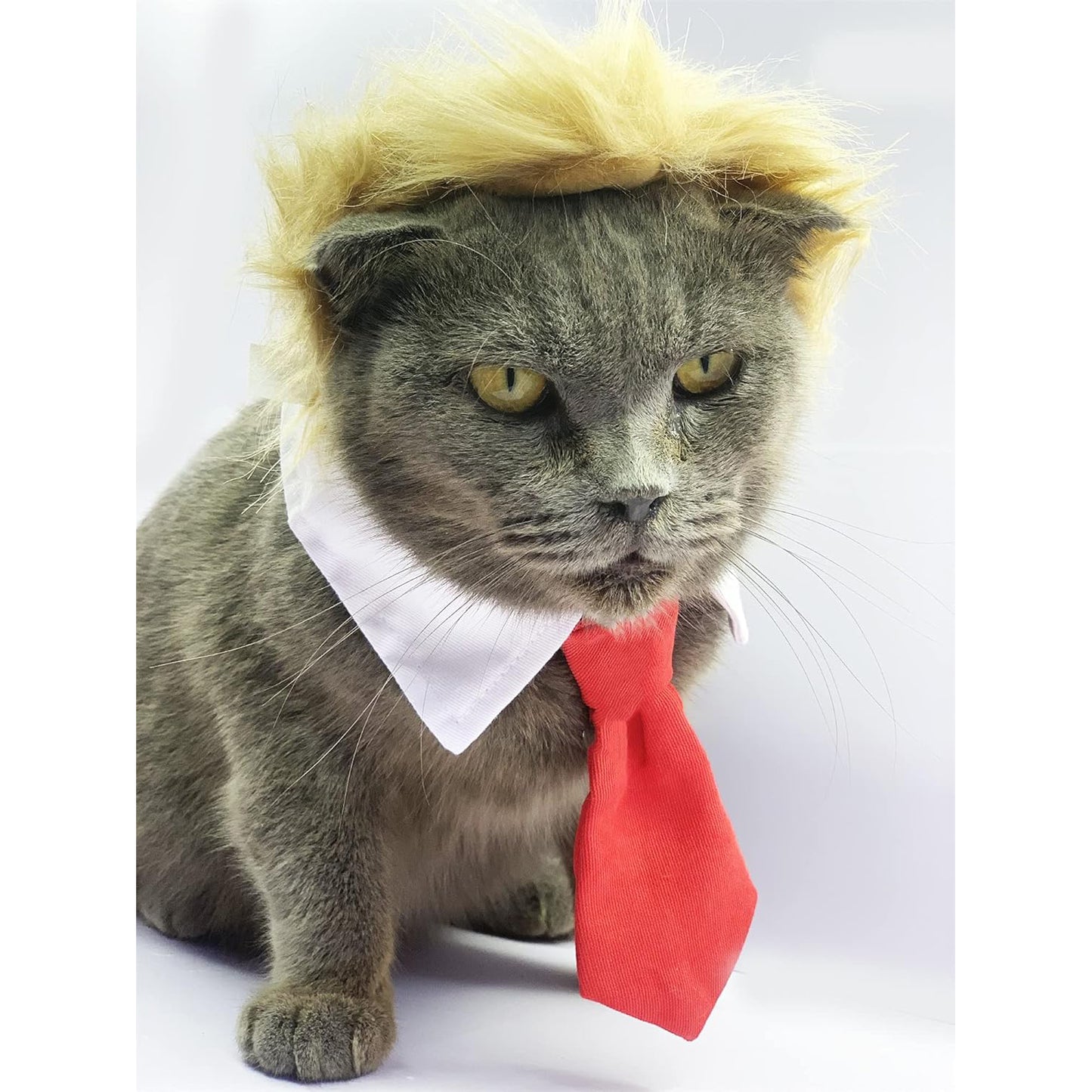 Funny Pet Wig Costume with Collar & Tie – Hilarious Dog & Cat Outfit for Halloween