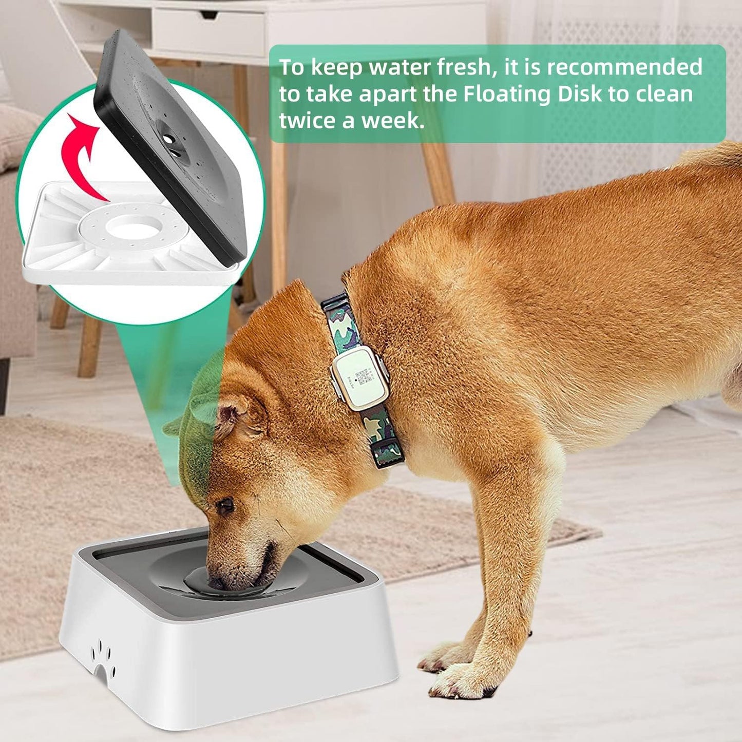 Spill-Proof Pet Water Bowl – 35oz No-Drip Slow Feeder with Non-Slip Base