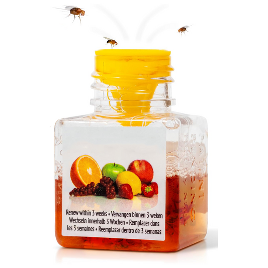 Fruit Fly Trap – Long-Lasting, Safe & Effective Kitchen Solution