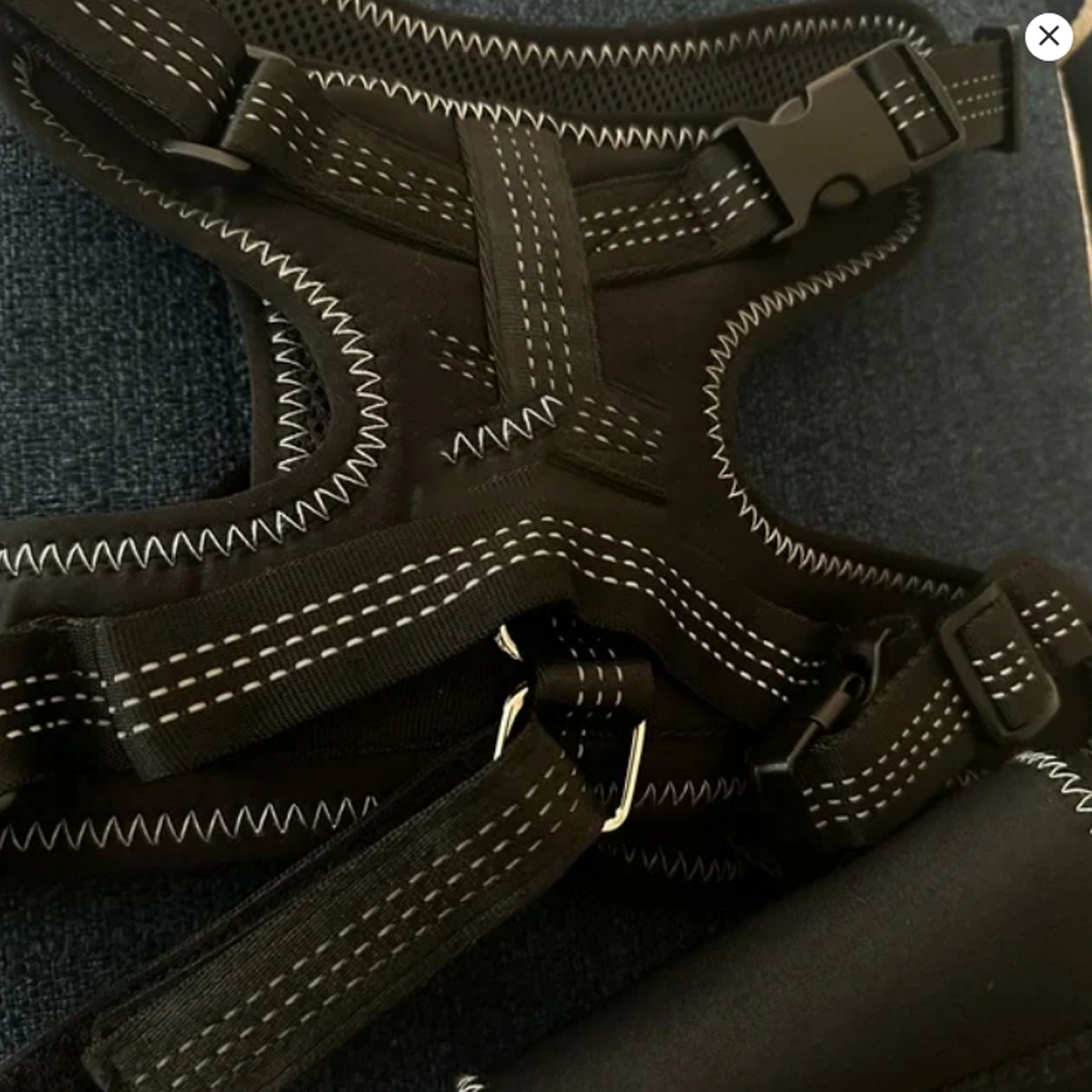 Adjustable Dog Rear Leg Wrap – Joint Support & Warmth