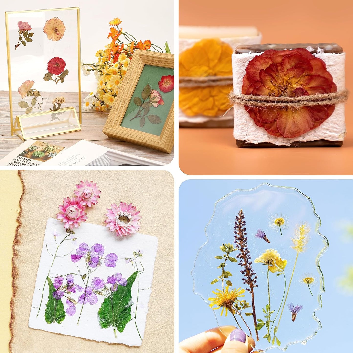 Flower Press Kit 11"x11" – DIY Flower Preservation Craft Set