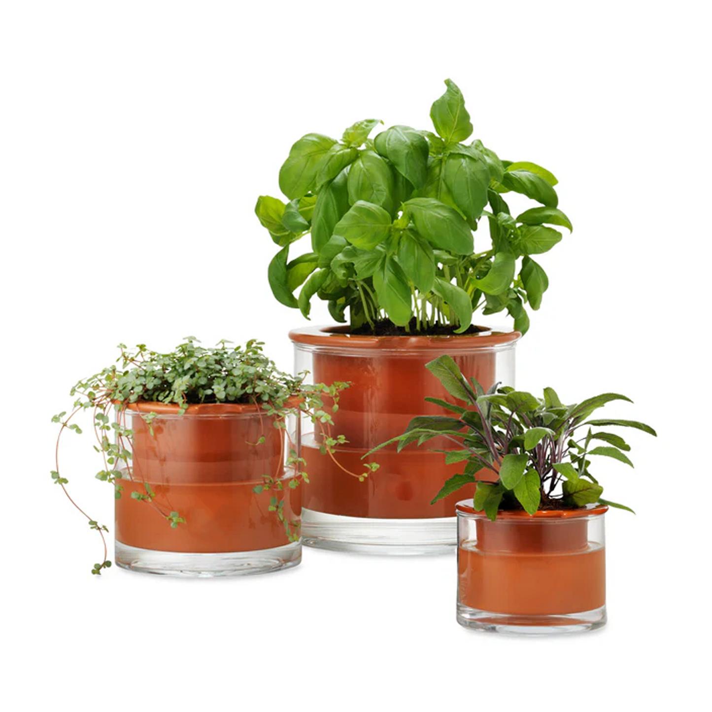 Self-Watering Wet Pots