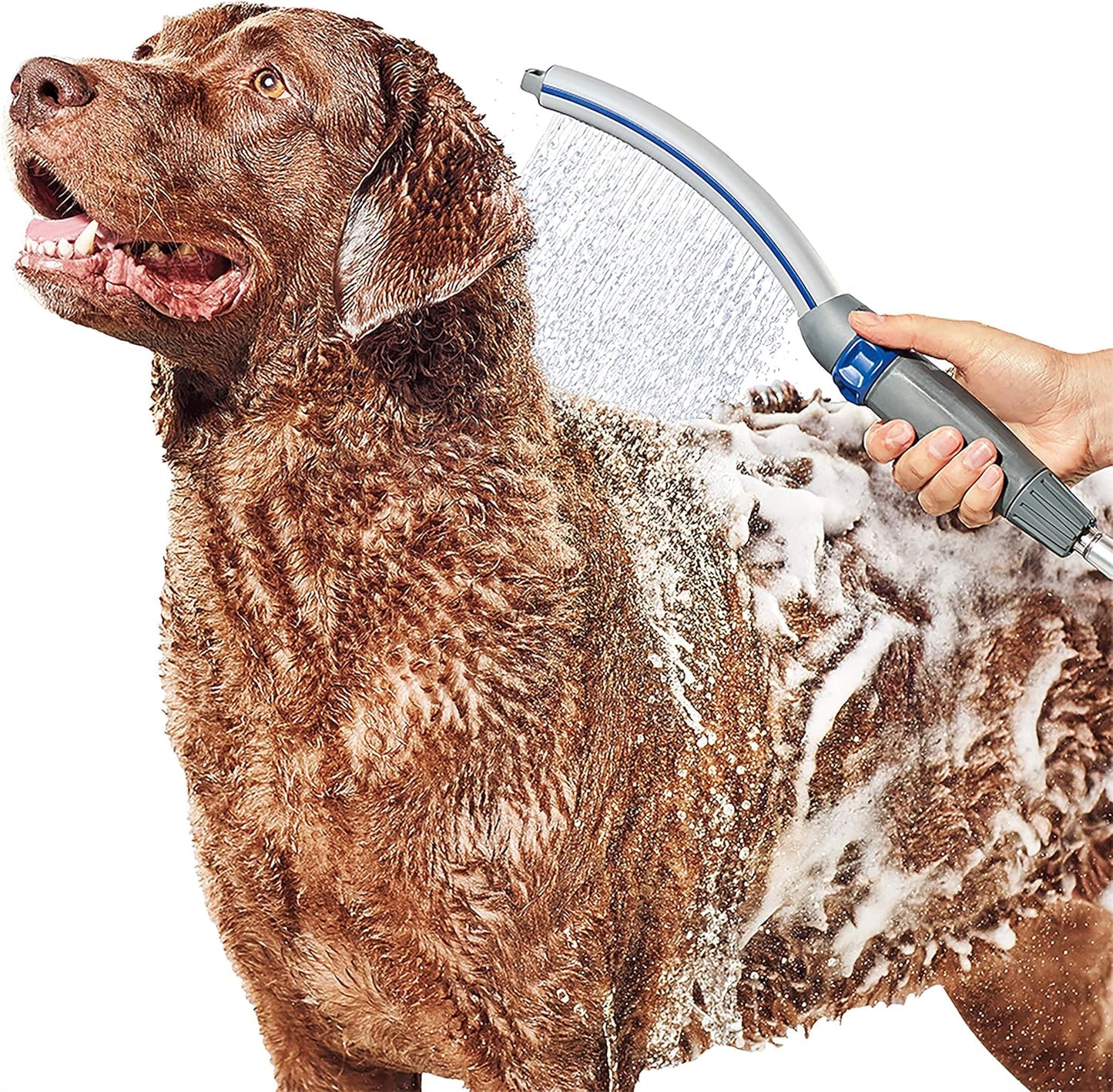 Pet Wand Pro Dog Shower Sprayer with Hose