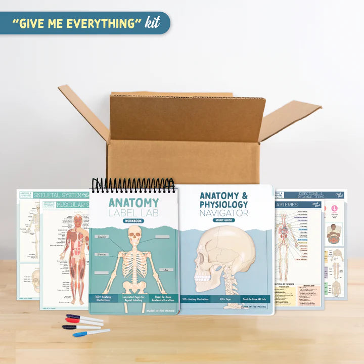 Anatomy Label Lab Workbook