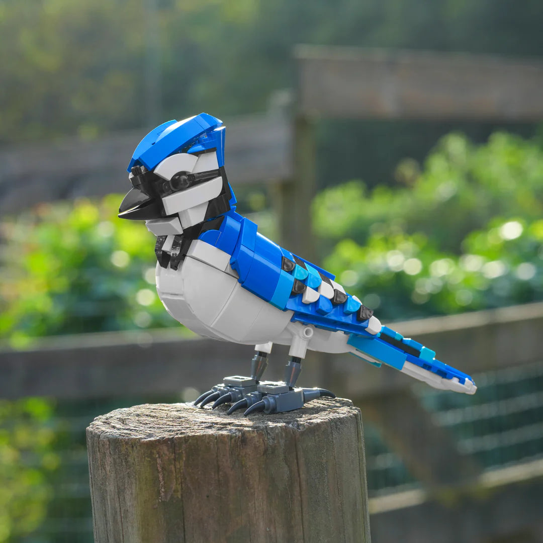 Colorful Songbird Model – A Charming Representation of Nature's Beauty