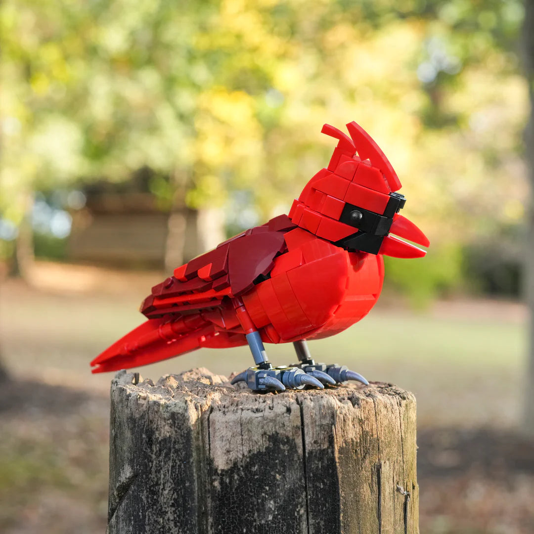 Colorful Songbird Model – A Charming Representation of Nature's Beauty