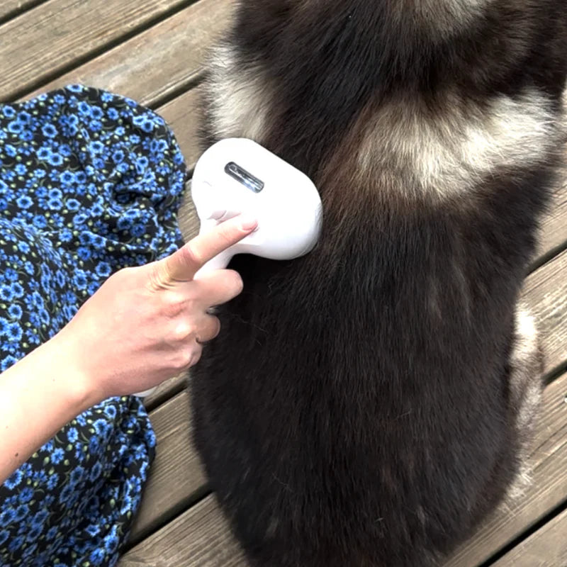 Spray Brush – Pet Grooming & Hair Care with Refillable Bottle