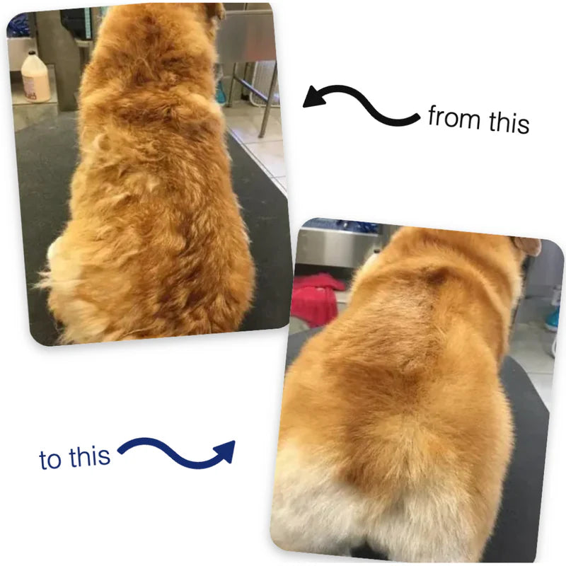 Spray Brush – Pet Grooming & Hair Care with Refillable Bottle