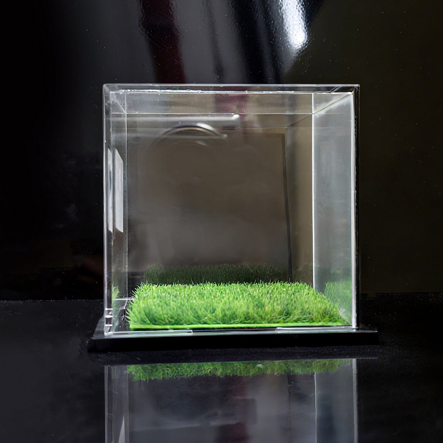 Baseball Display Case – Personalized Engraved Memorabilia Showcase