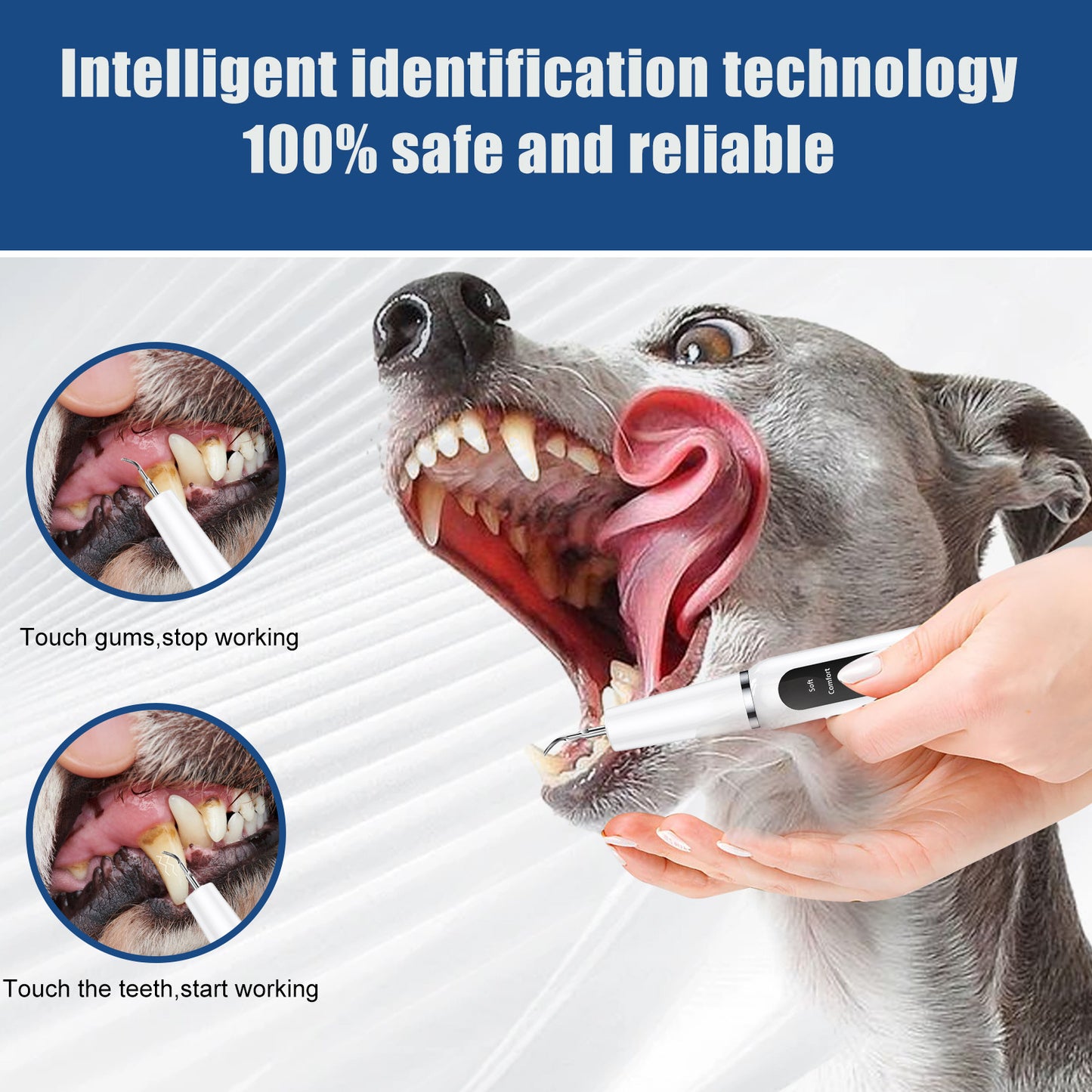 Pet Oral Hygiene Tool – Ultrasonic Dental Cleaning Kit for Pets
