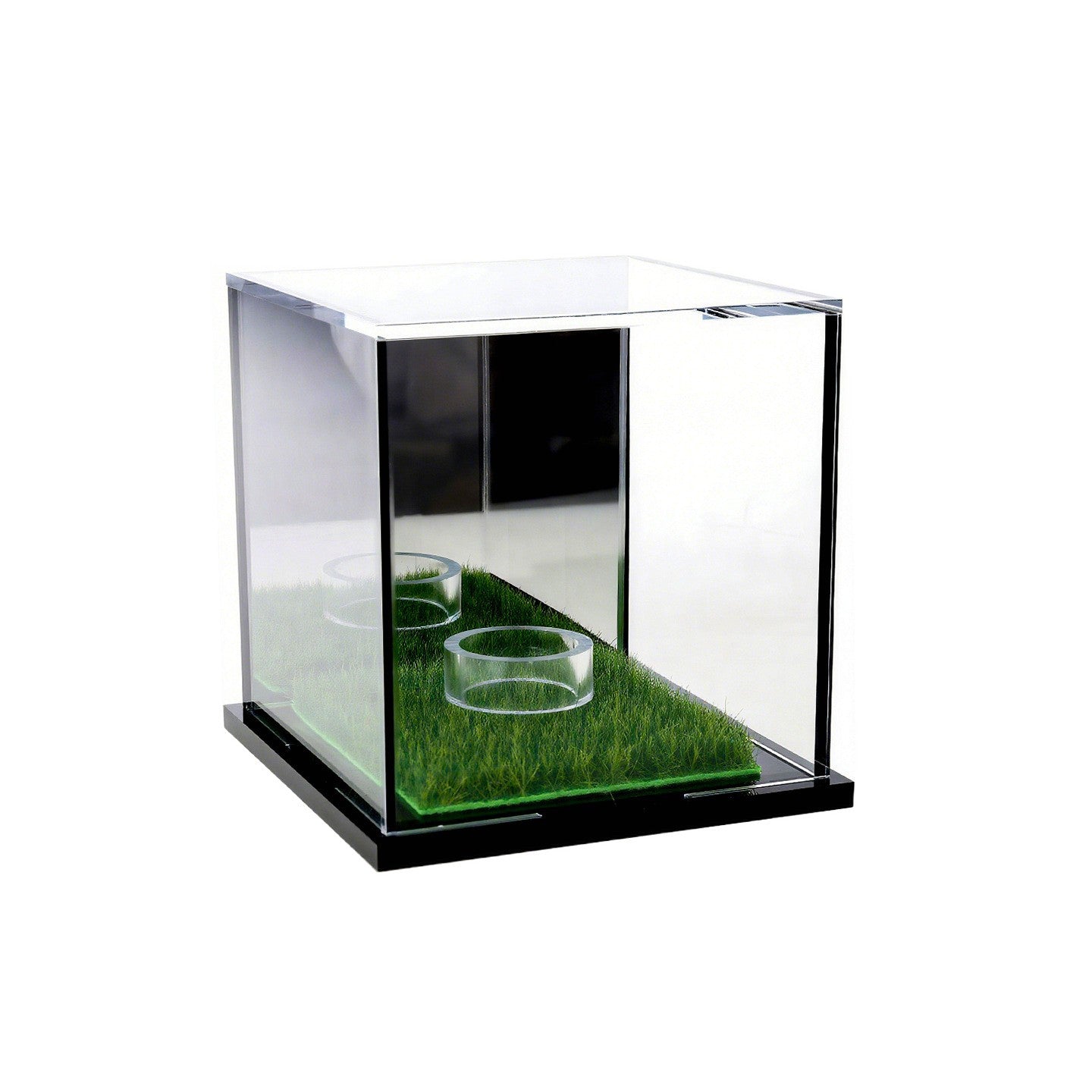 Baseball Display Case – Personalized Engraved Memorabilia Showcase