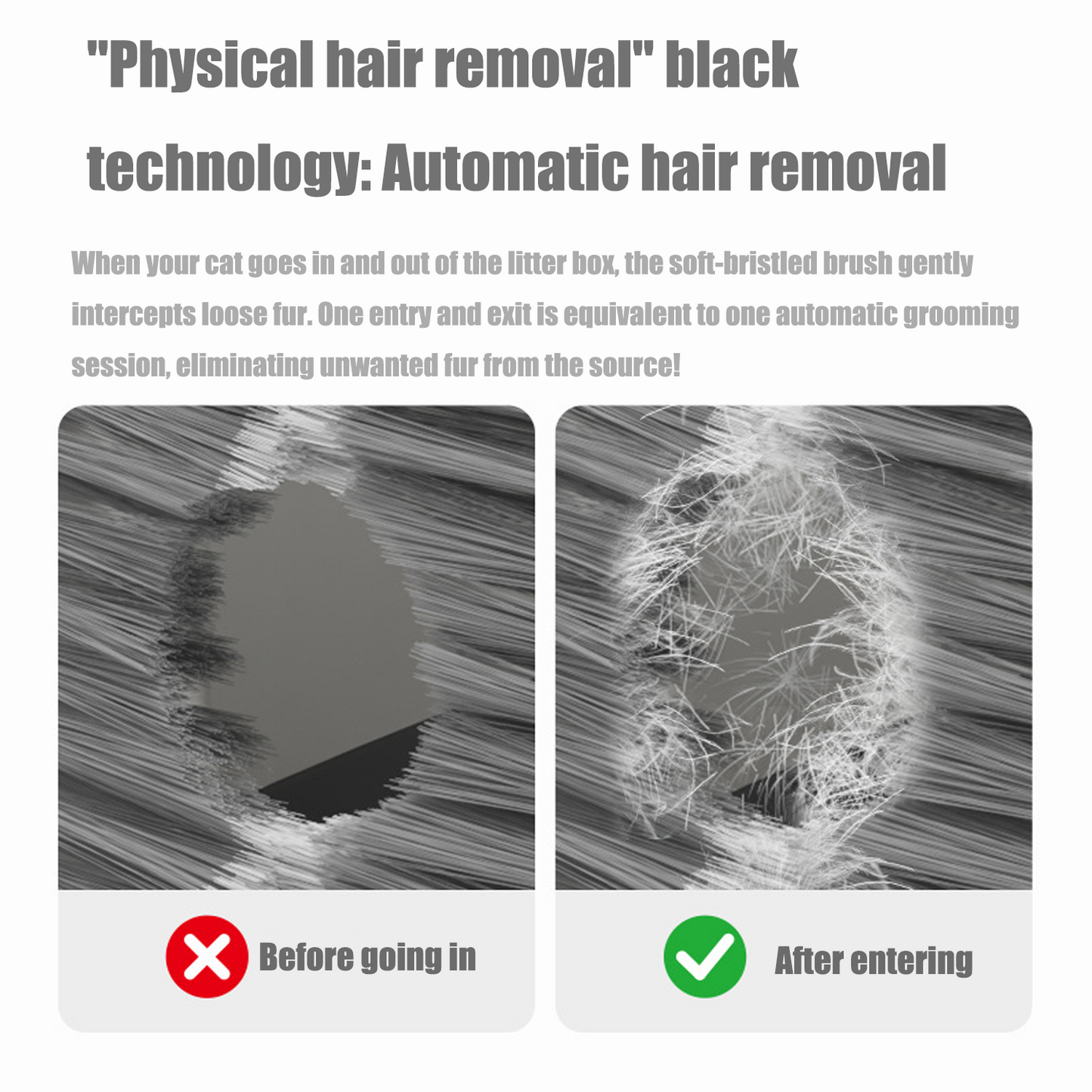 Cat litter box hair filter door