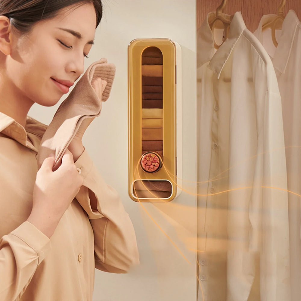 Wall-Mounted Aromatherapy Closet Organizer – Space-Saving Storage for Lingerie & Socks