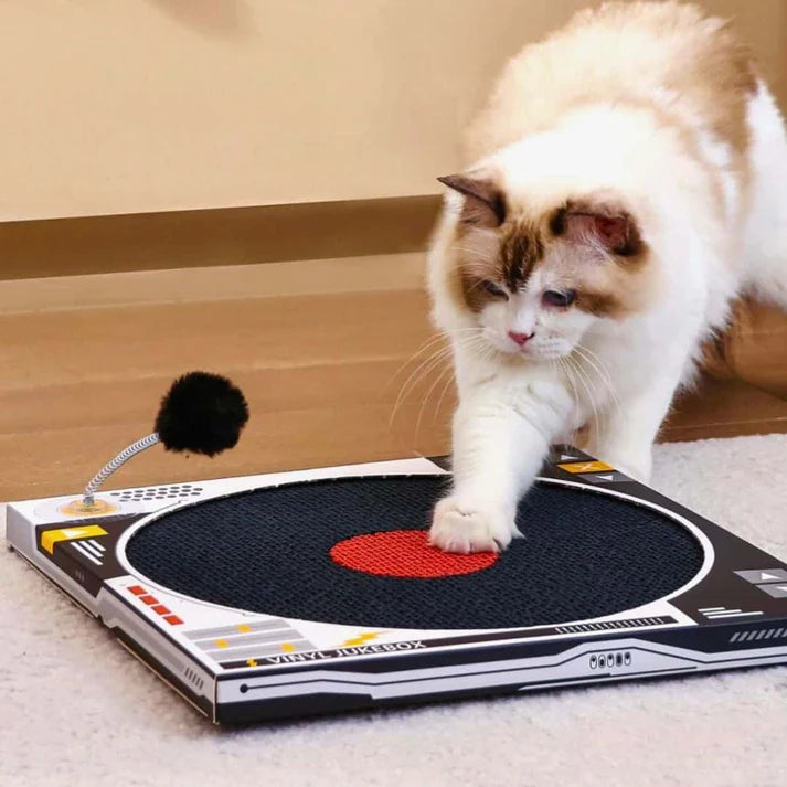 Retro Vinyl Record Player Cat Scratcher