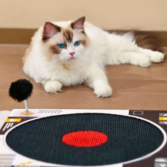 Retro Vinyl Record Player Cat Scratcher