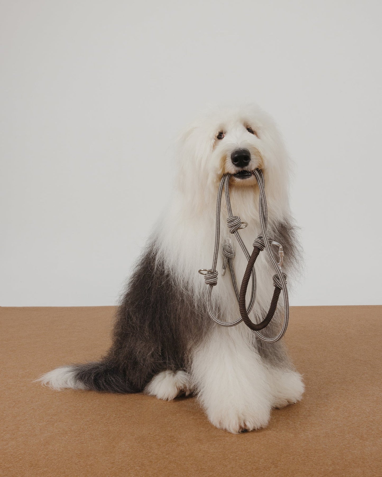 Multi-Functional Rope Dog Leash – Adjustable Hands-Free Walking Leash with Screw Lock Carabiner