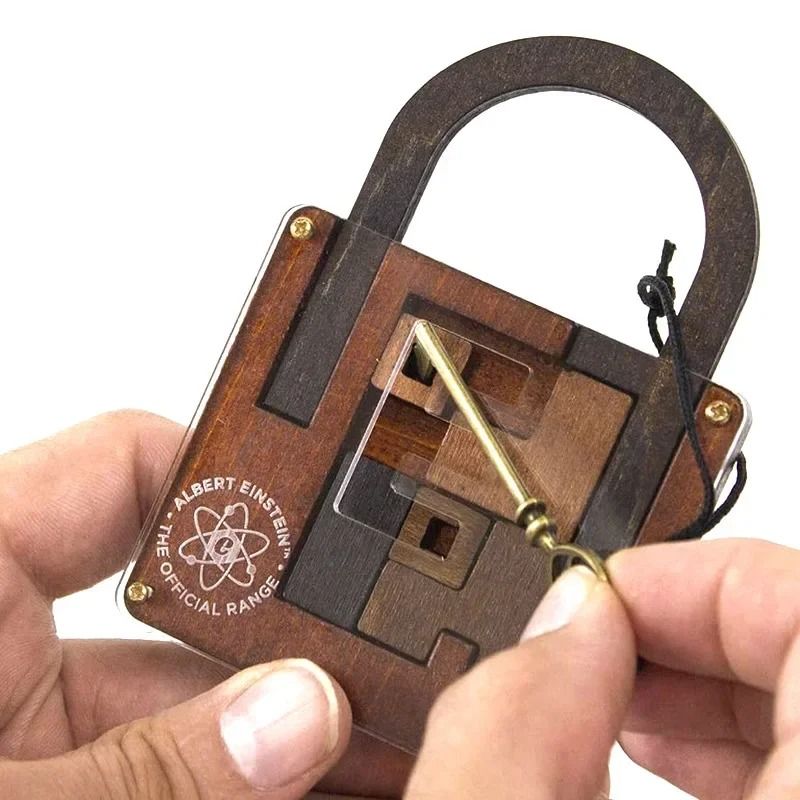 Einstein-Style Log Puzzle Lock – Unlock the Hidden Key