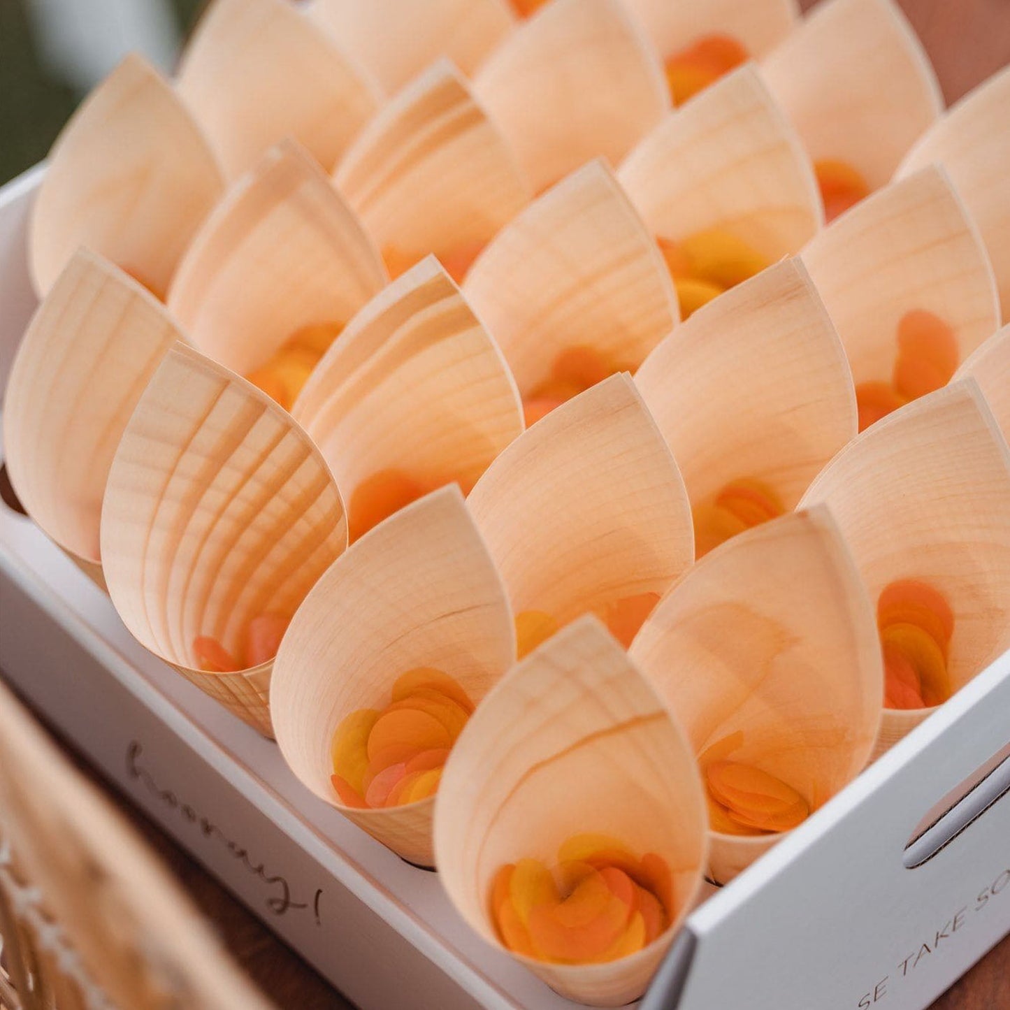 Ultimate Confetti Set – Round Shape (Cones, Confetti & Trays)