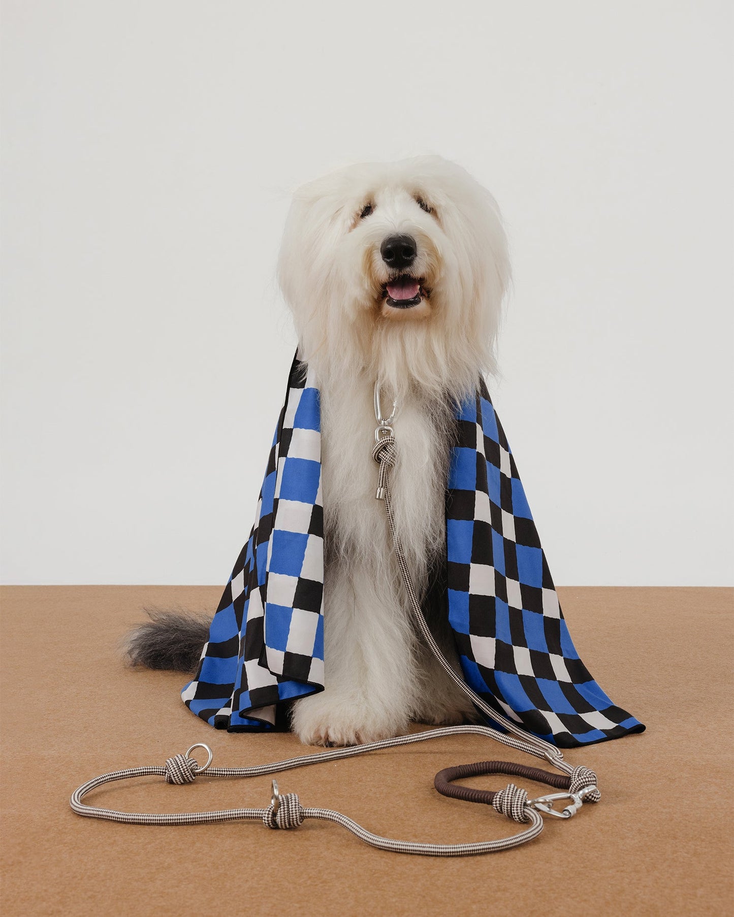 Multi-Functional Rope Dog Leash – Adjustable Hands-Free Walking Leash with Screw Lock Carabiner