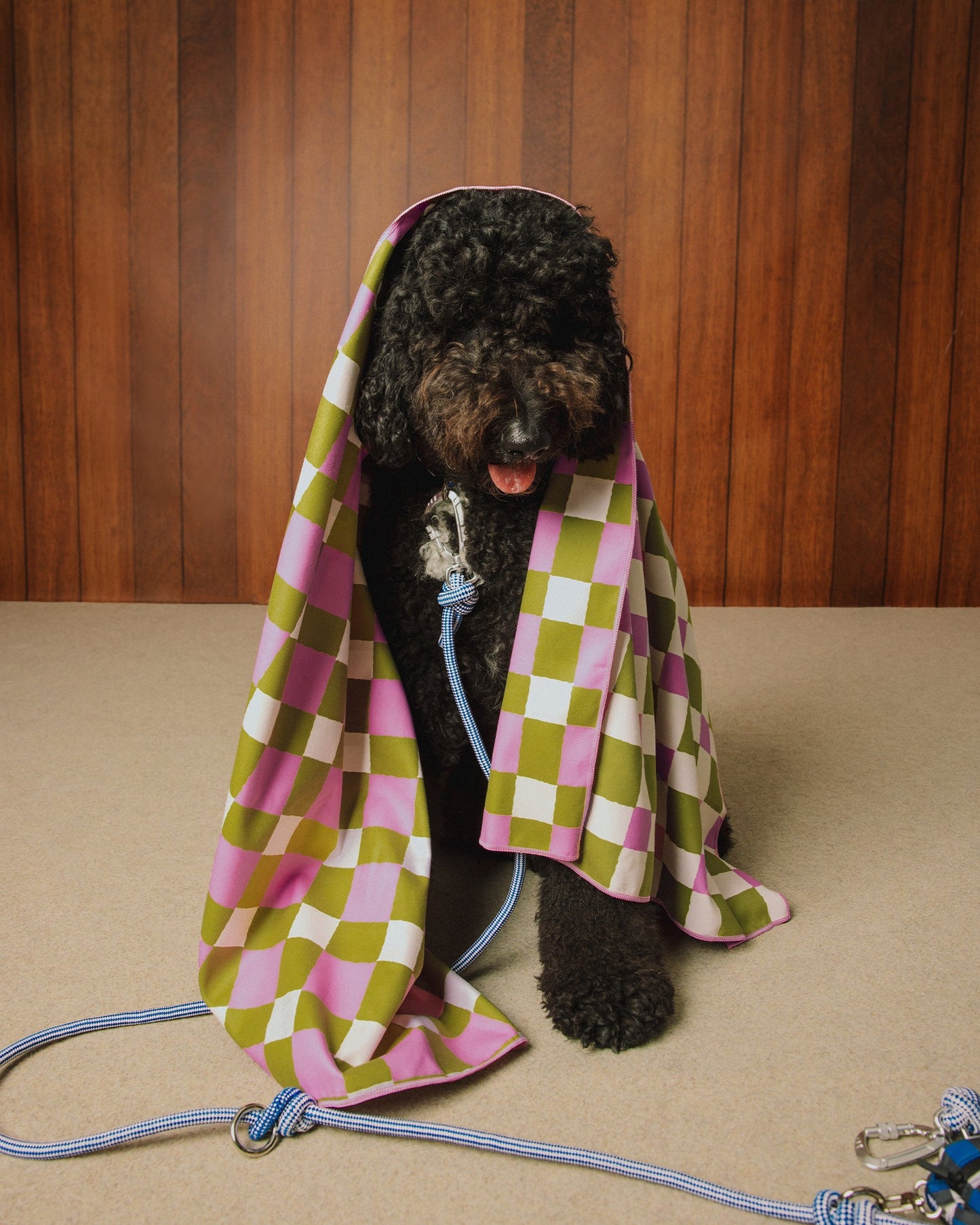 Multi-Functional Rope Dog Leash – Adjustable Hands-Free Walking Leash with Screw Lock Carabiner