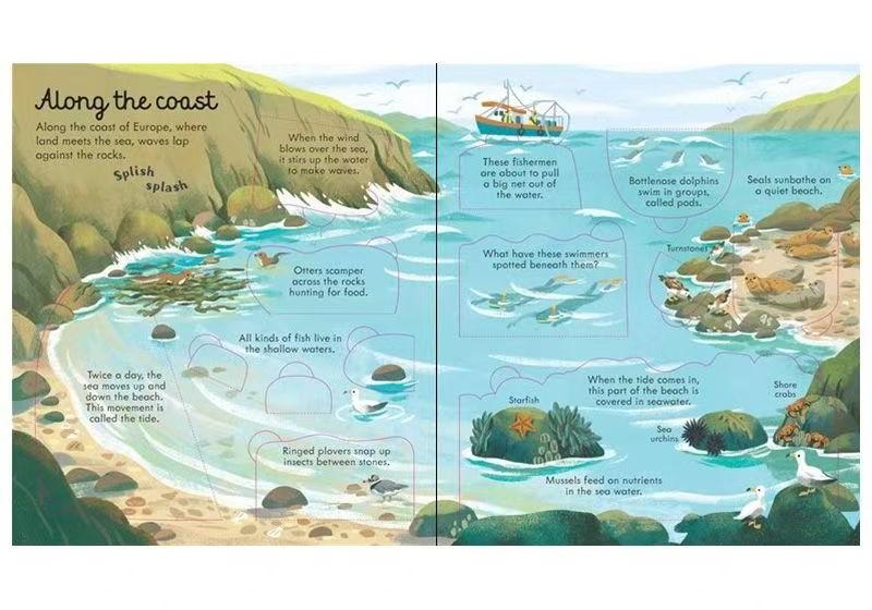 Explore Inside the Ocean – Beautifully Illustrated Educational Book | Discover Coasts, Coral Reefs & Deep-Sea Creatures
