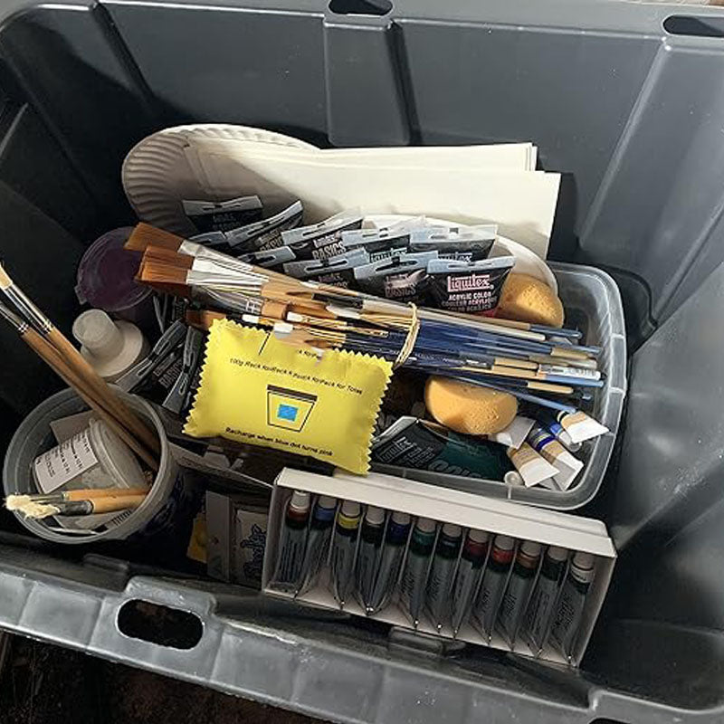 100g Rechargeable Desiccant Bag – Moisture Absorbing Pouch | Silica Gel Dehumidifier for Storage Boxes, Luggage & More