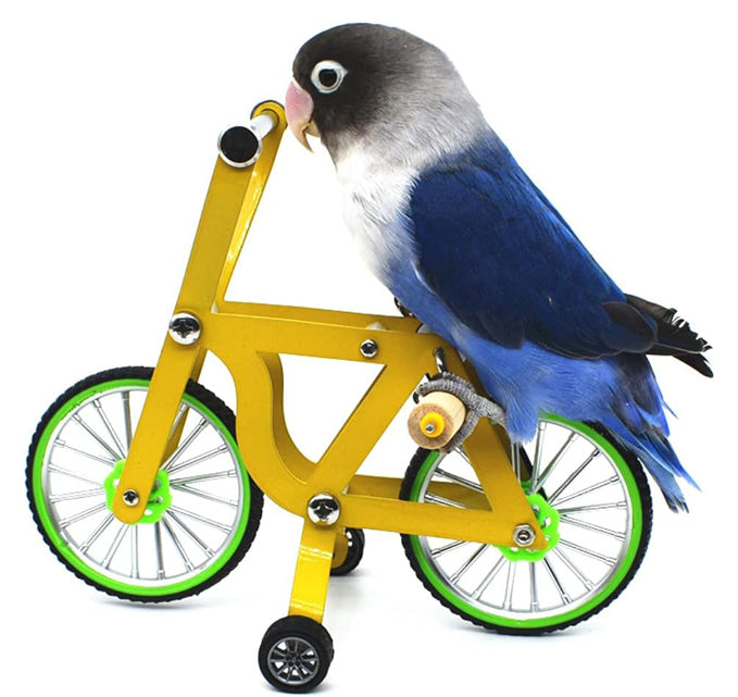 Pet Bird Training Parrot Intelligence Bicycle Toy