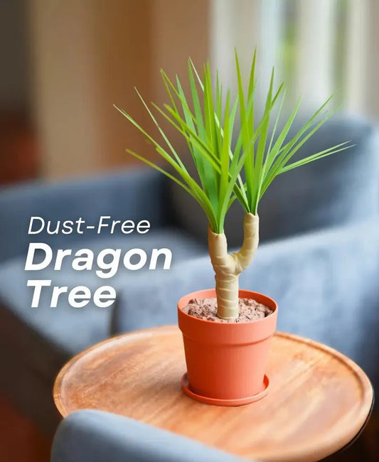 Retractable Dragon Tree Multi-Functional Duster | Creative Desktop Plant Cleaning Set