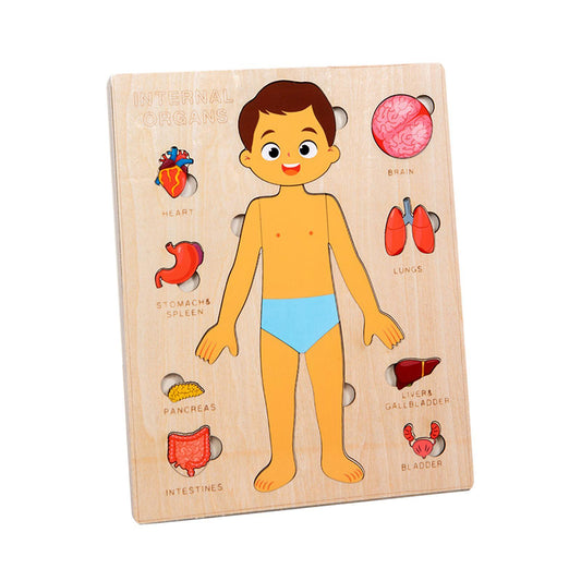 Wooden Human Body Puzzle Busy Board – Matching Game for Fine Motor Skills
