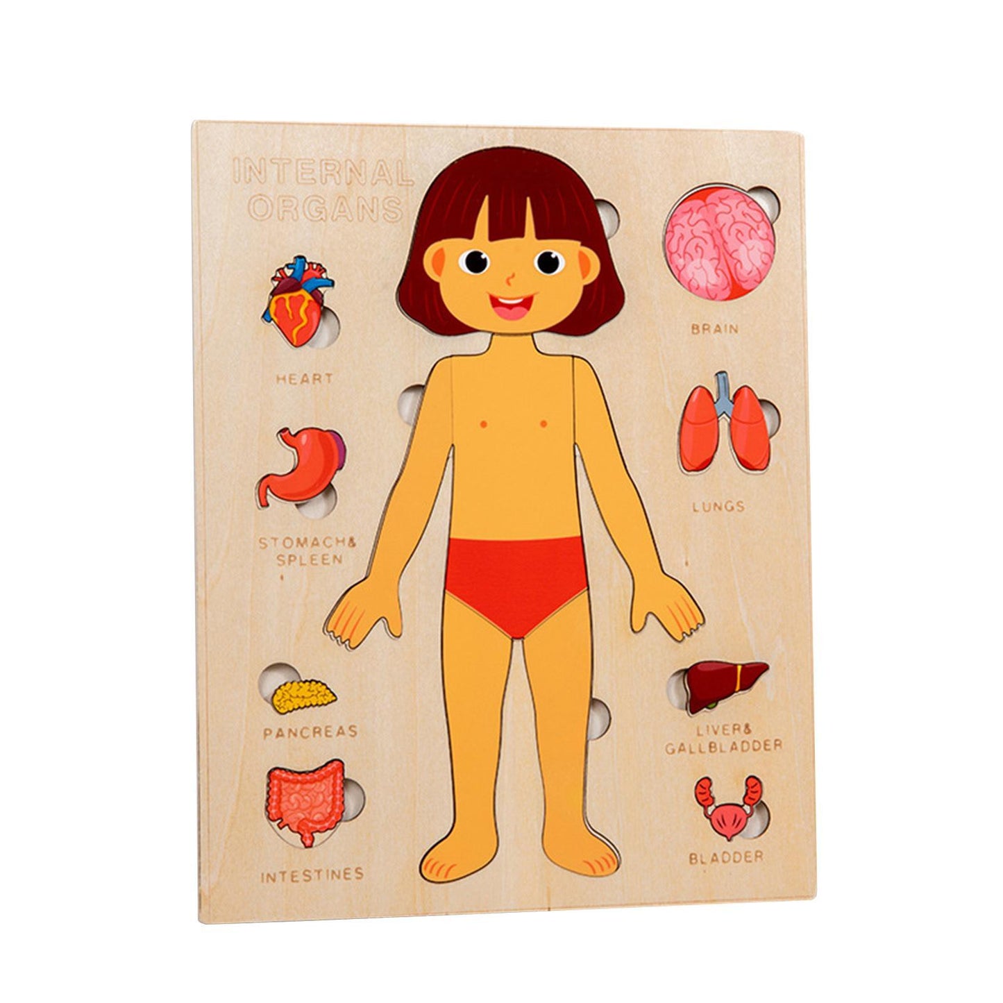 Wooden Human Body Puzzle Busy Board – Matching Game for Fine Motor Skills