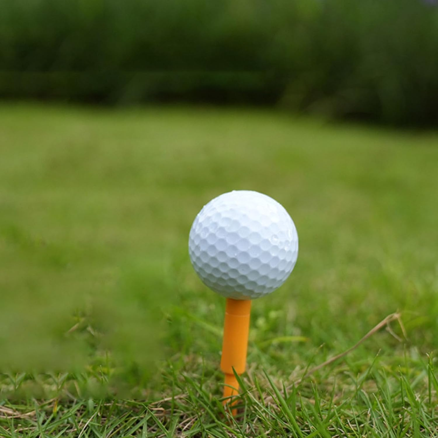 Reusable Golf Tee Holder Set – Durable & Portable with Magnetic Lid and Plastic Tees