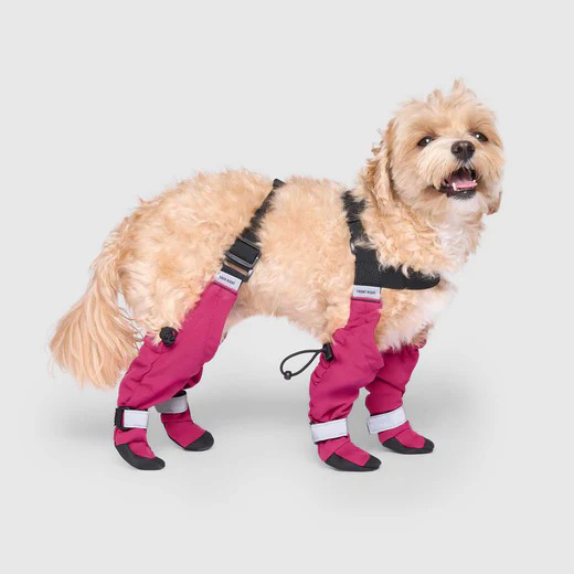 Connected Dog Boots – Waterproof Paw Protection with Extended Leg Coverage
