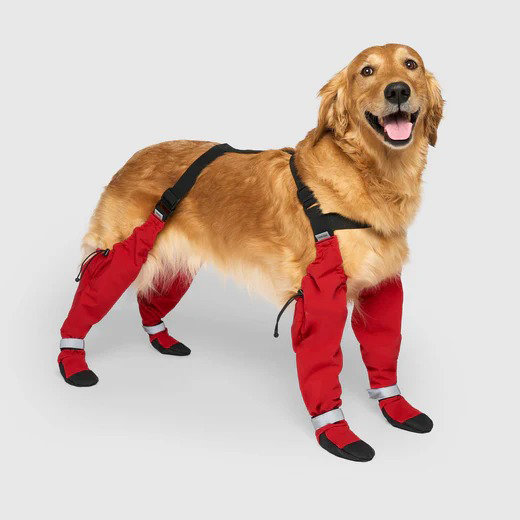 Connected Dog Boots – Waterproof Paw Protection with Extended Leg Coverage