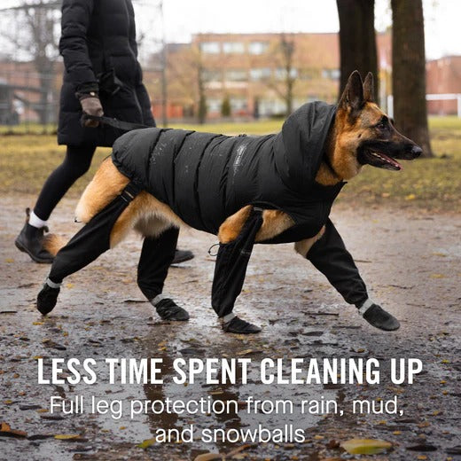 Connected Dog Boots – Waterproof Paw Protection with Extended Leg Coverage