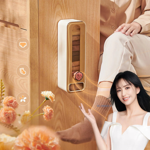 Wall-Mounted Aromatherapy Closet Organizer – Space-Saving Storage for Lingerie & Socks