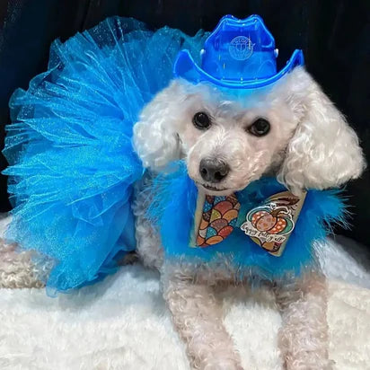 Mini Neon Cowboys Dog Hat