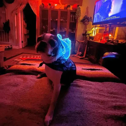 Mini Neon Cowboys Dog Hat