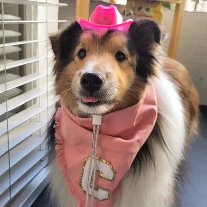 Mini Neon Cowboys Dog Hat