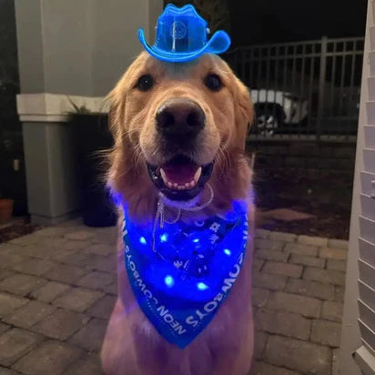 Mini Neon Cowboys Dog Hat