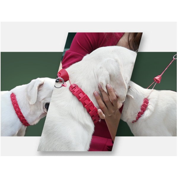 Radial Contraction Mechanism Dog Collar - 360° Even Pressure Distribution, Comfort